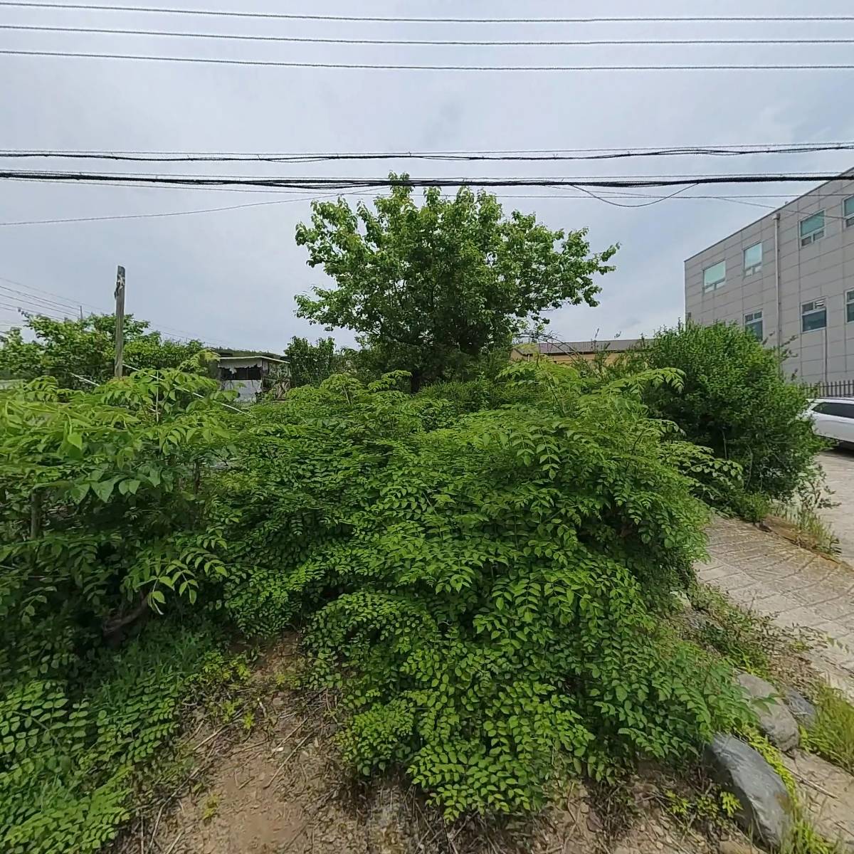 사)한국한봉협회청송군지부