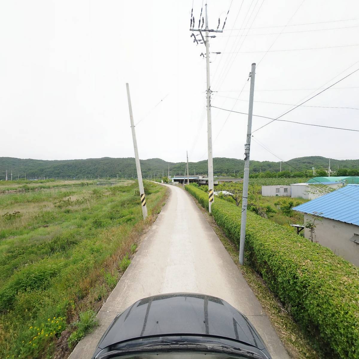 대구자라양식장군위농장_4