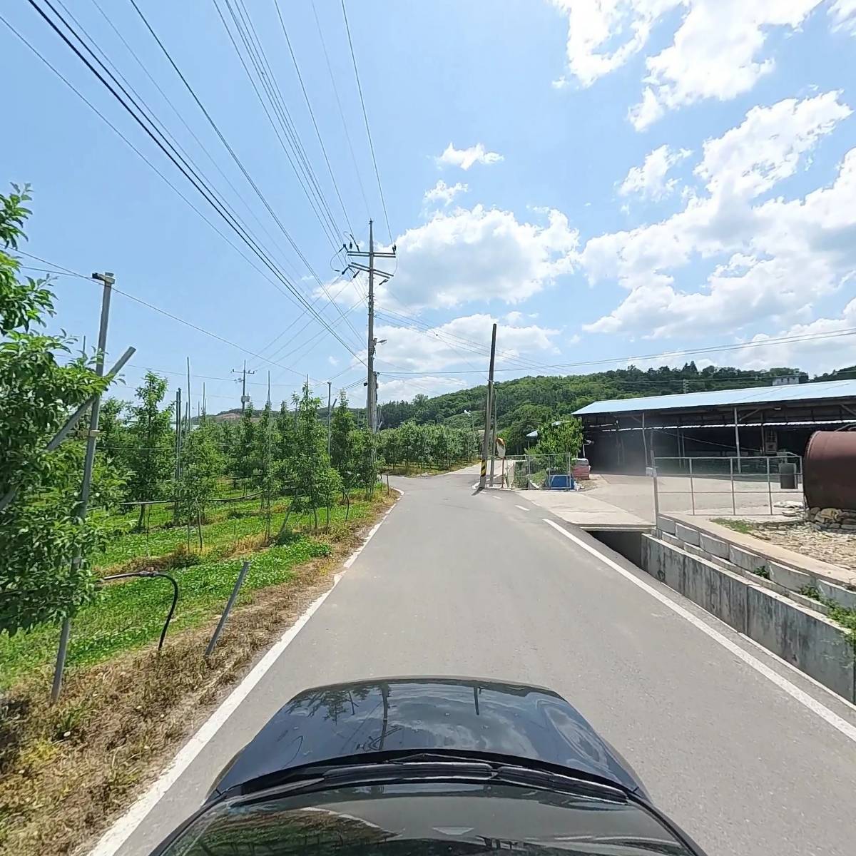 청송농산_4