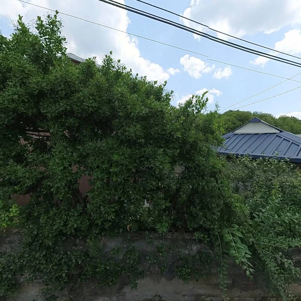 이화선의 청송미담_3