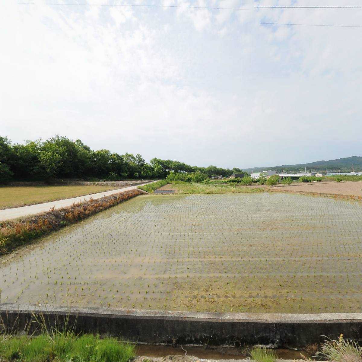 (주)태성건설_3