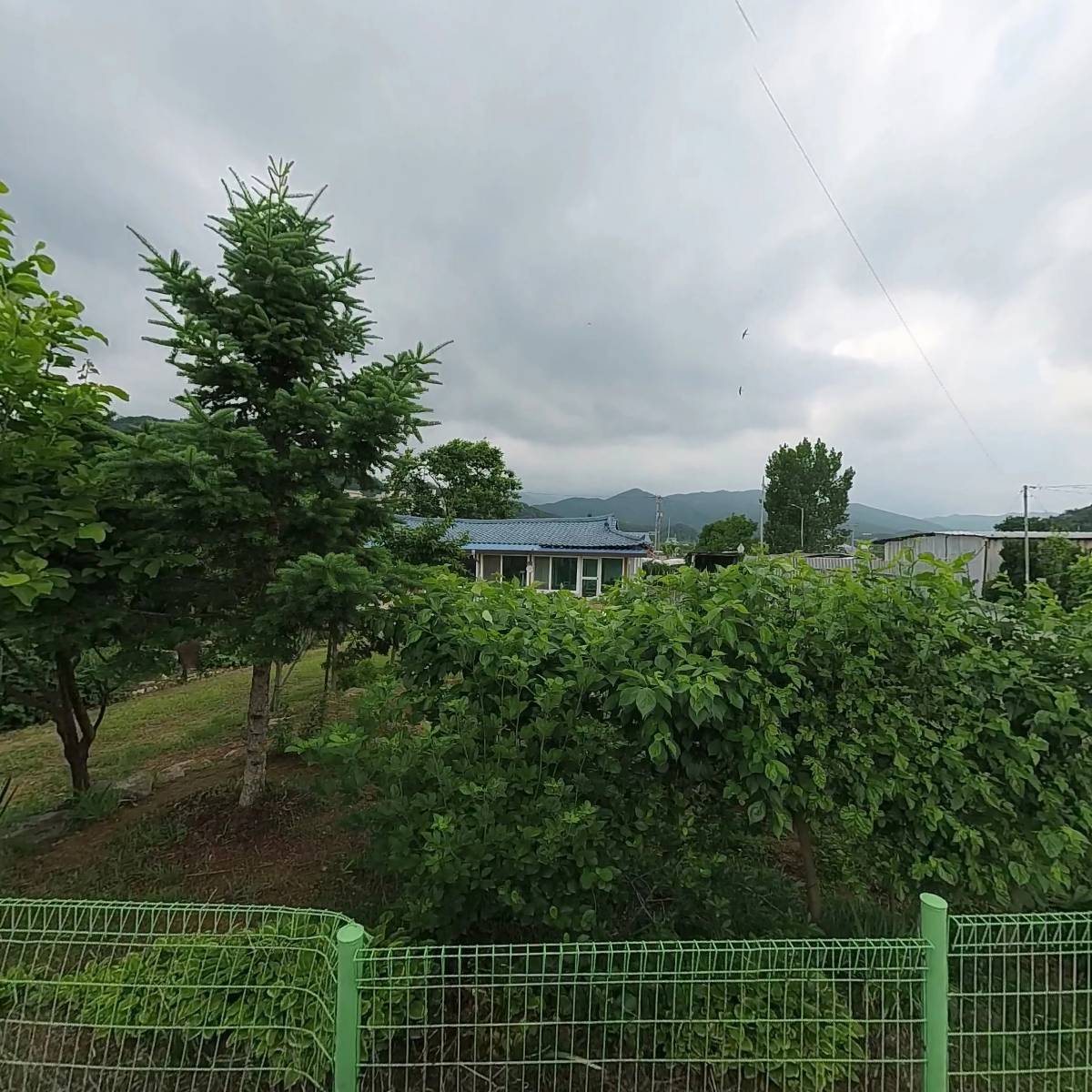 농업회사법인 본초농산주식회사