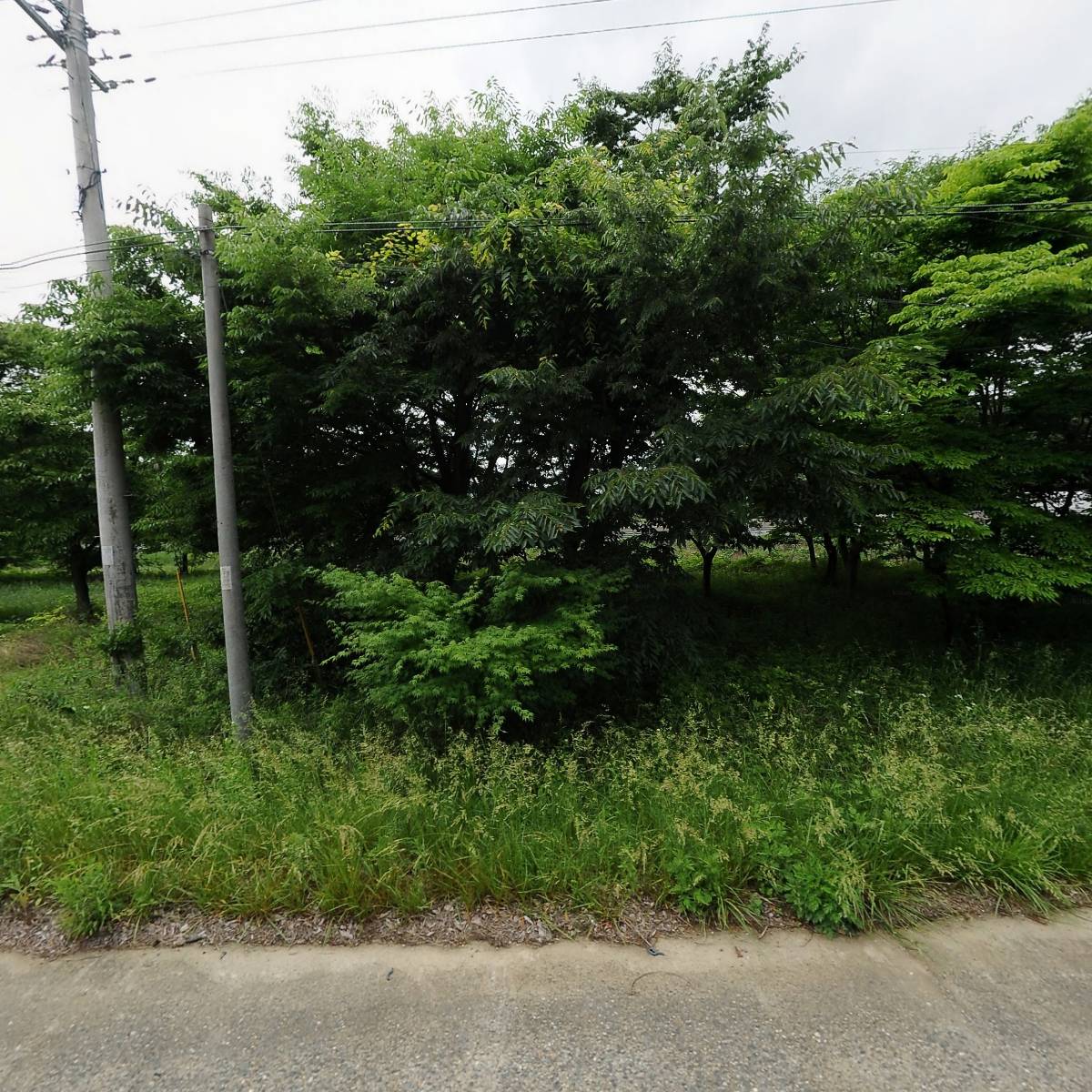 주식회사 에이치씨군위산업