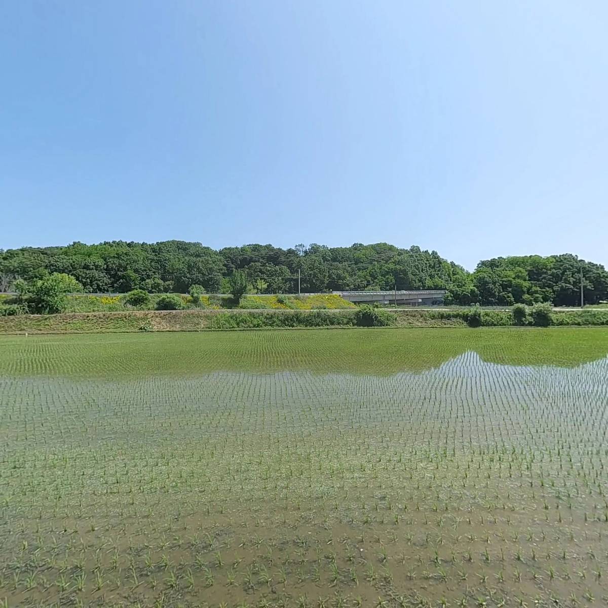 주식회사 예천용궁순대