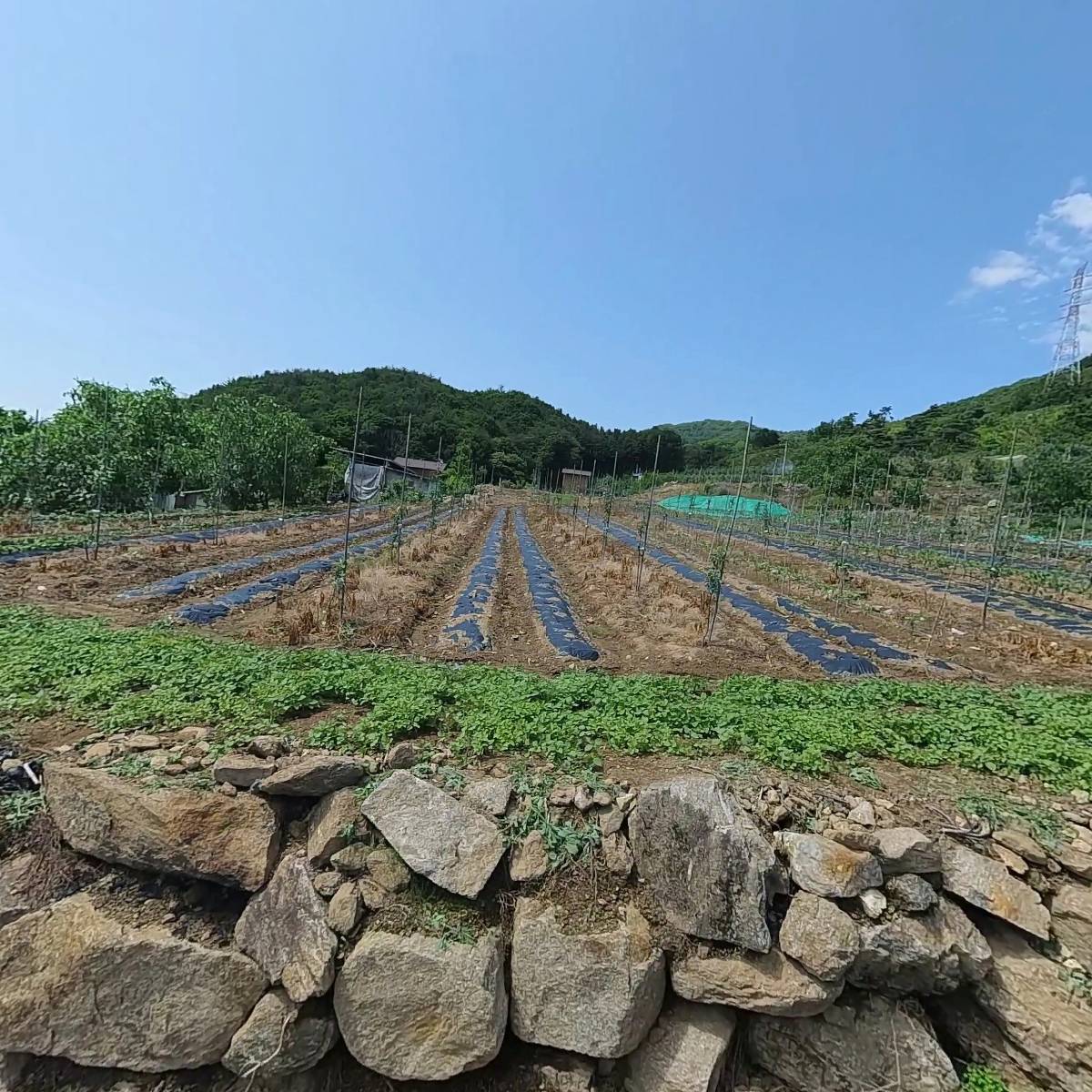 우보농원_3