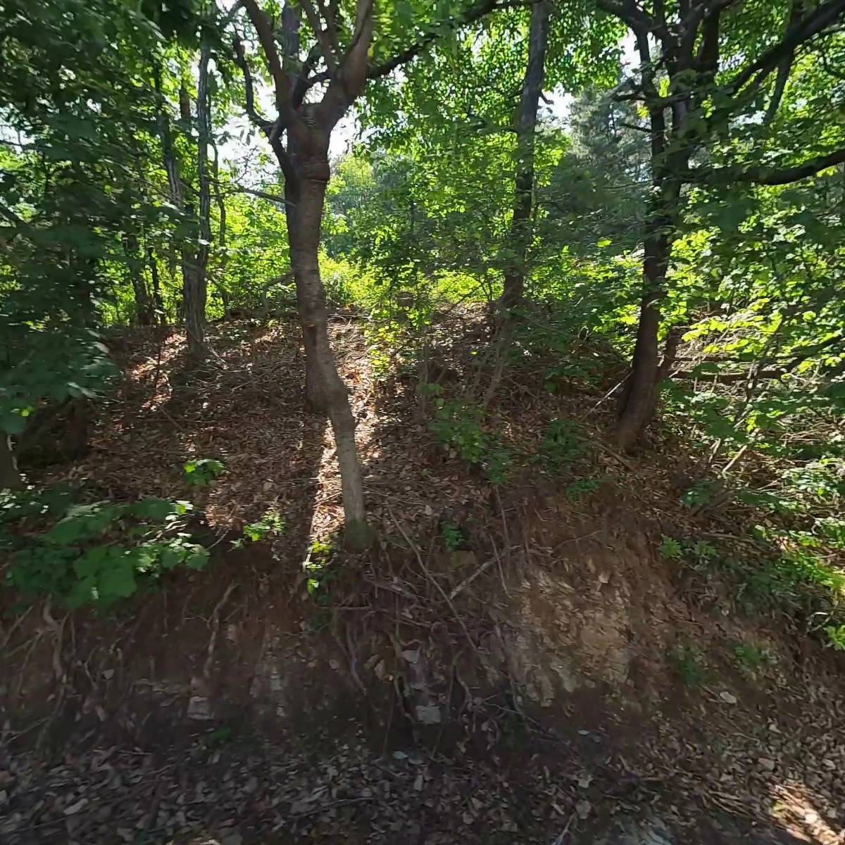 주식회사 진영화학_3