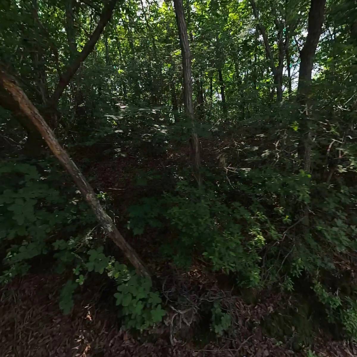 (주)화석엔지니어링