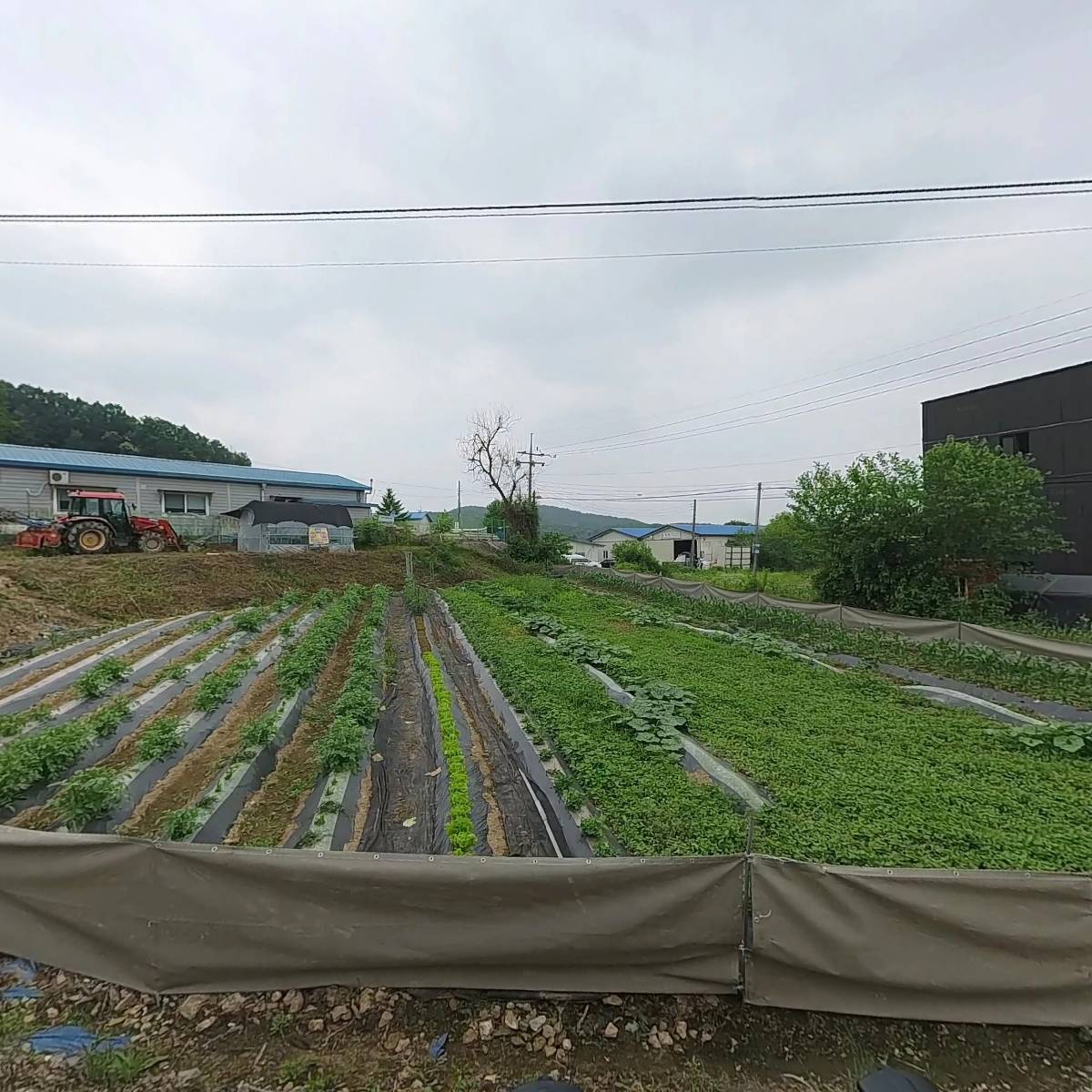 이레소파_3