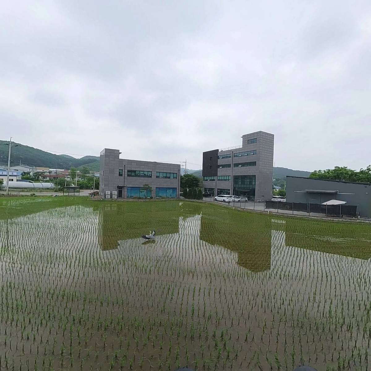 치요남치킨_3