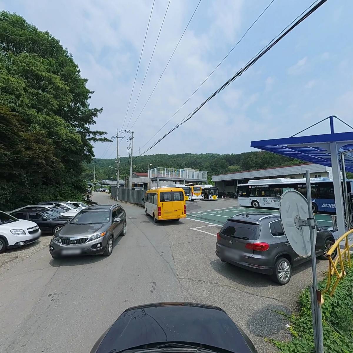 에코바움_4