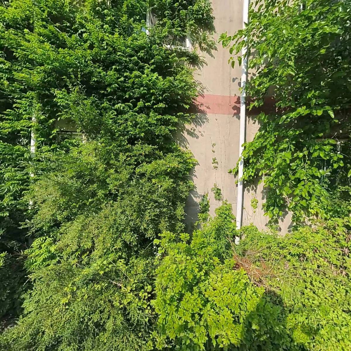 한국전문건설(주)