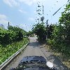주식회사 하이독_4