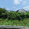 주식회사 하이독_3