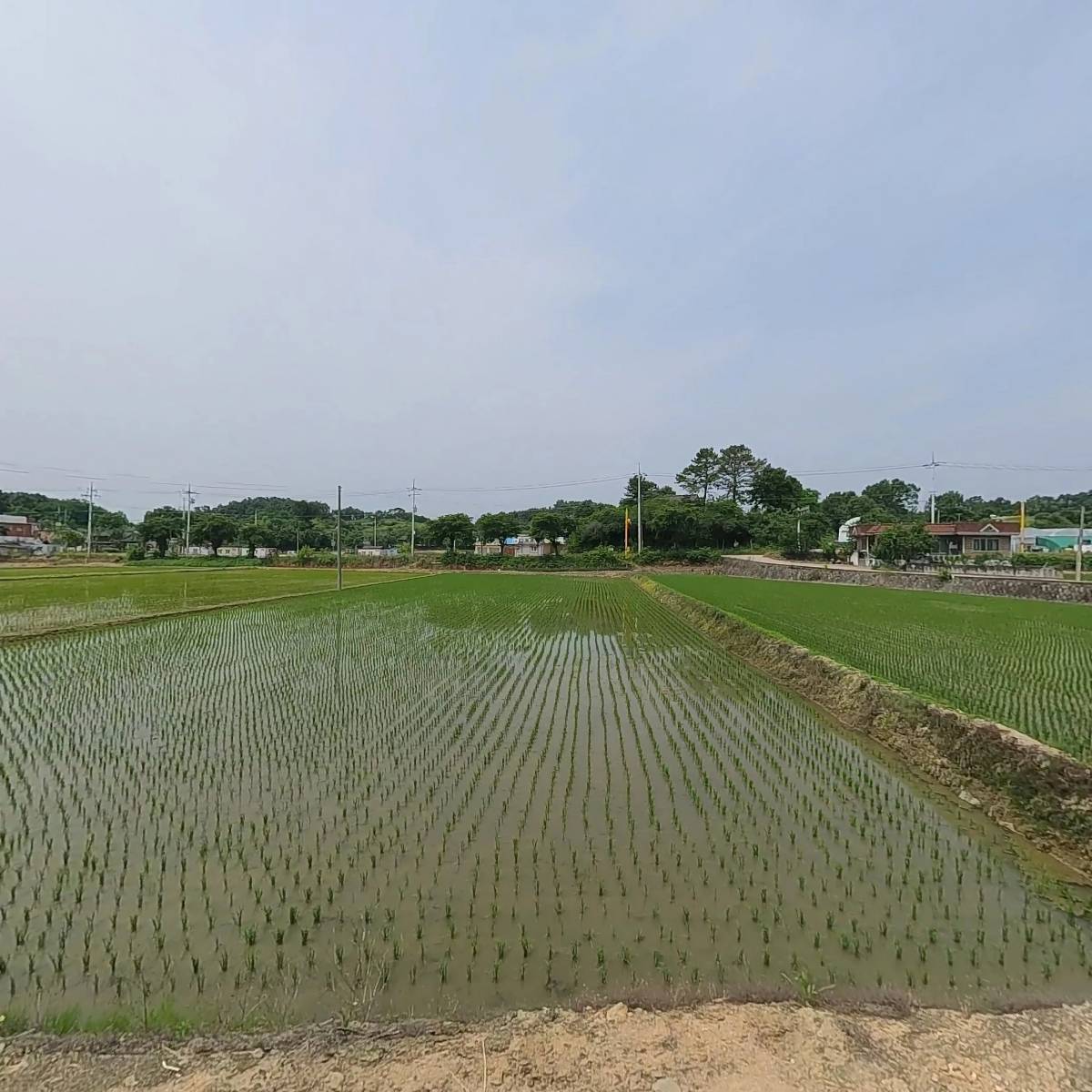 유천초등학교