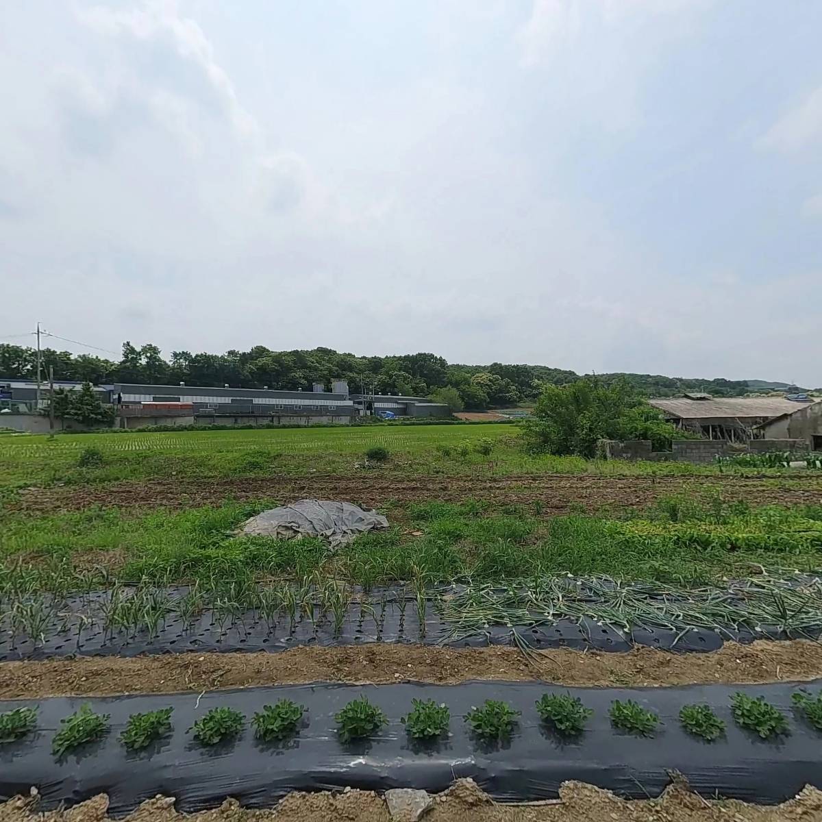 (주)이레통상