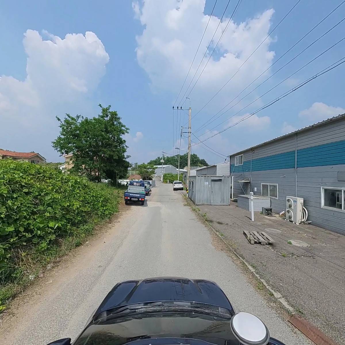보라펫_4
