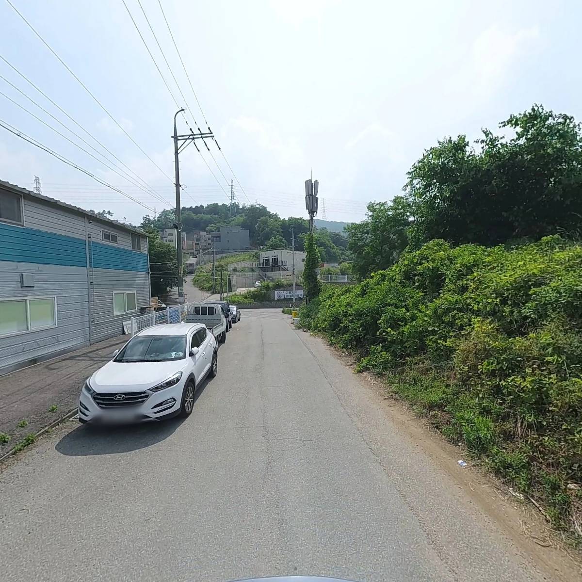 보라펫_2