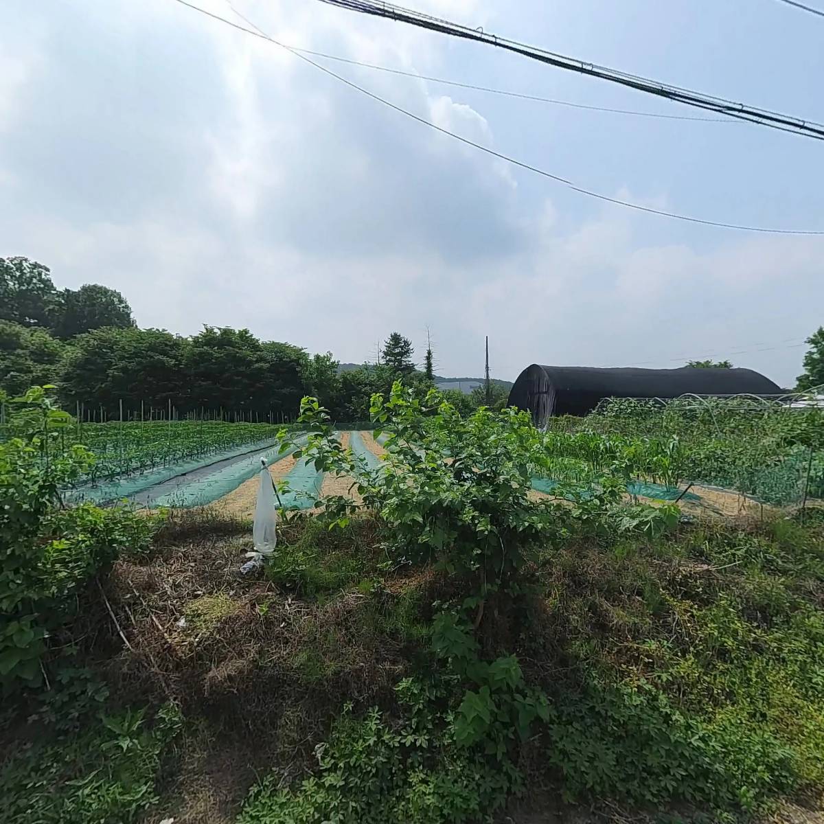 부페식해남밥상