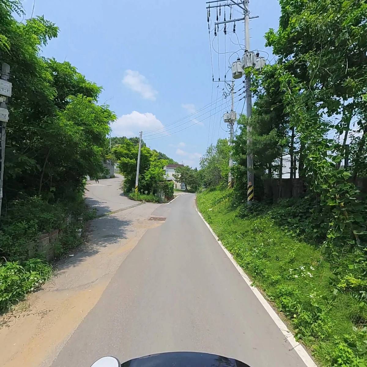 다온숲_2