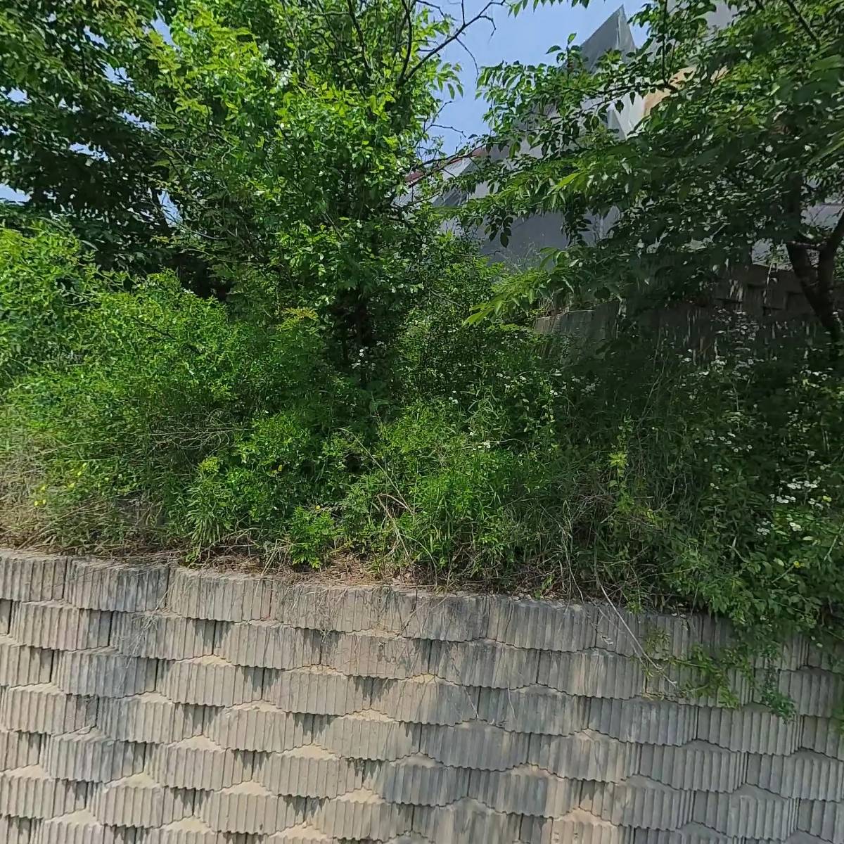 대한정밀