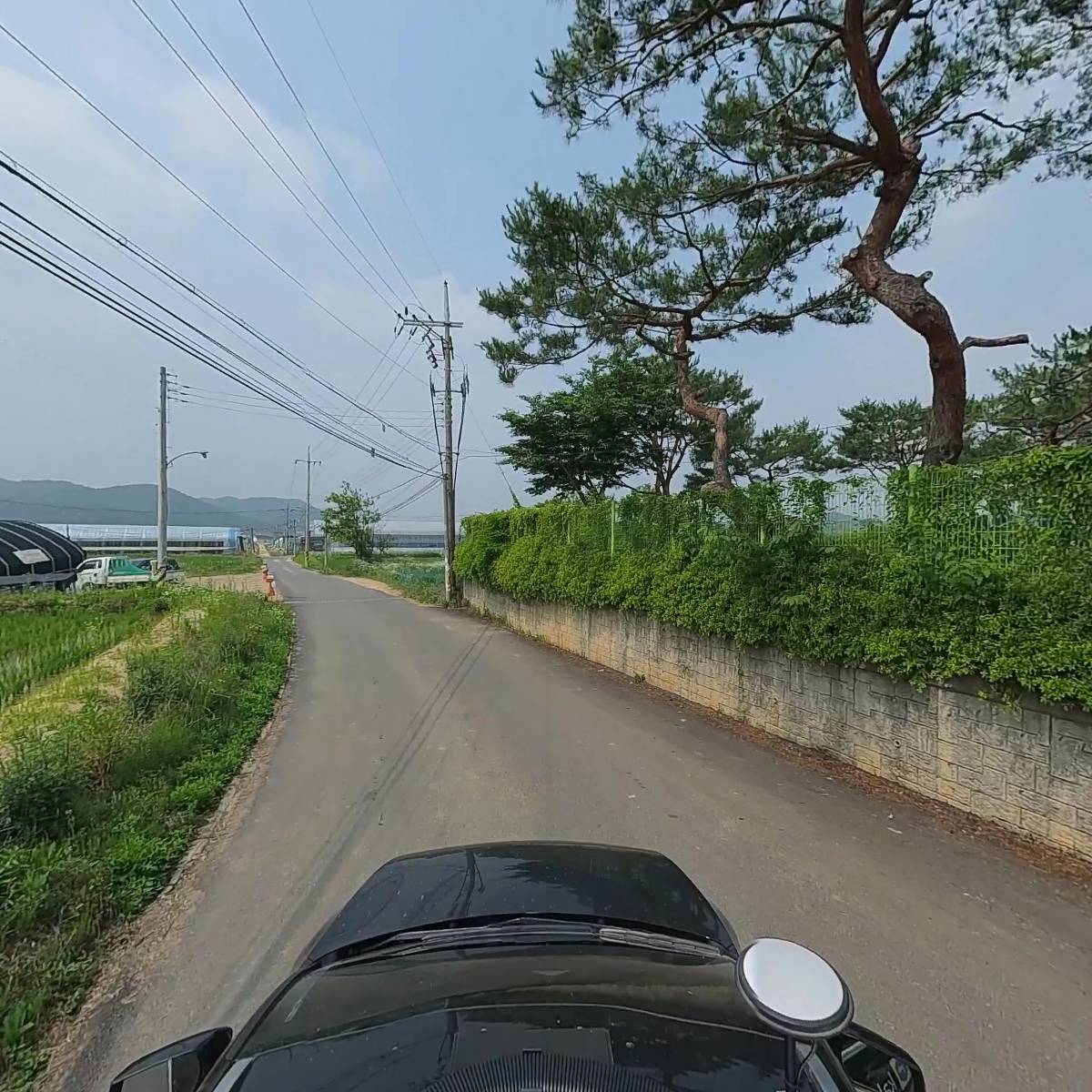 동양피엘_4