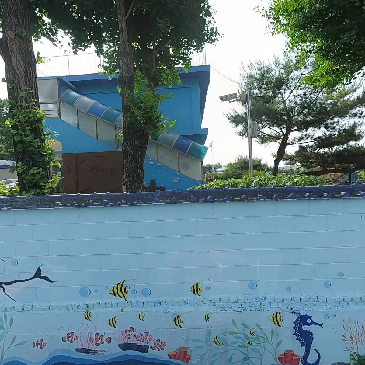 백봉초등학교