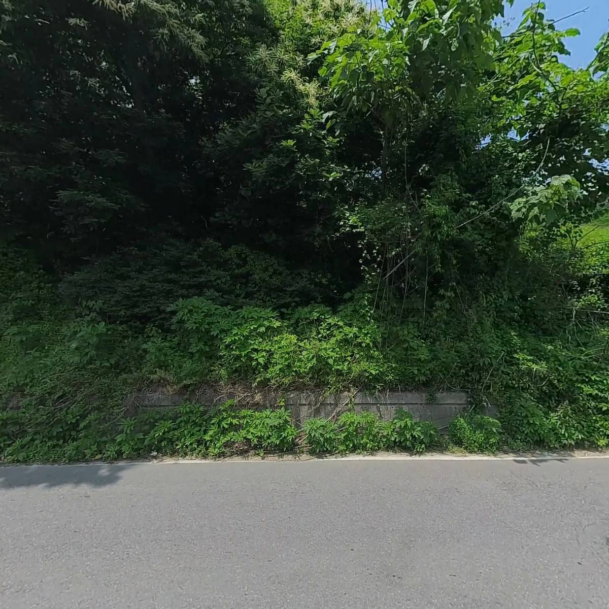 주식회사 트리원_3