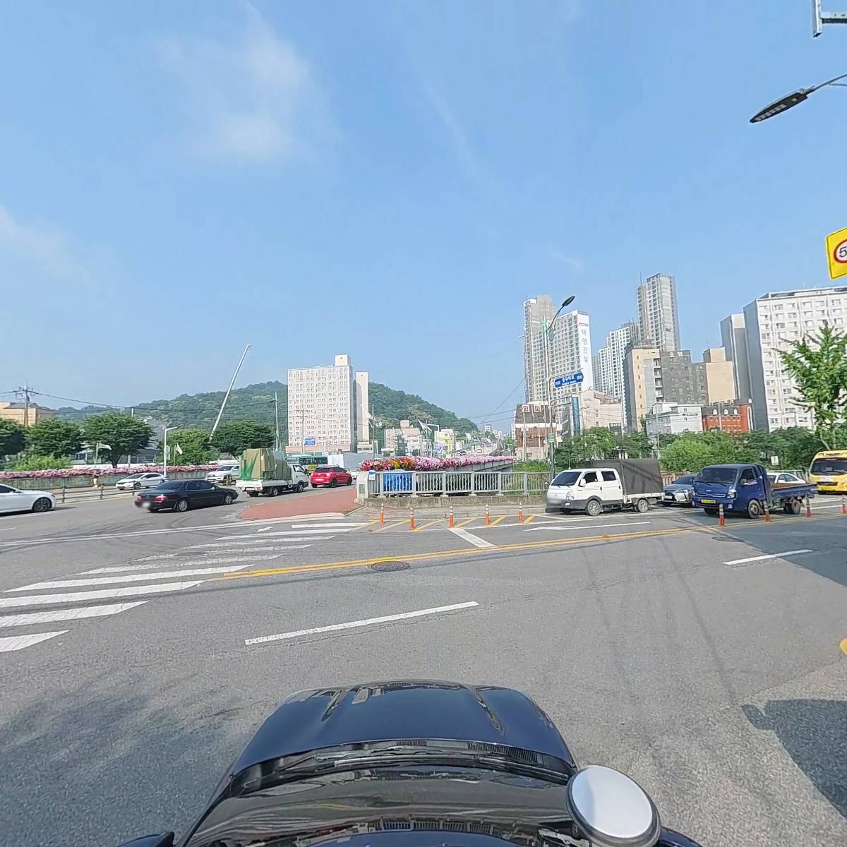굿모닝동물병원_4