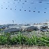 도신_3