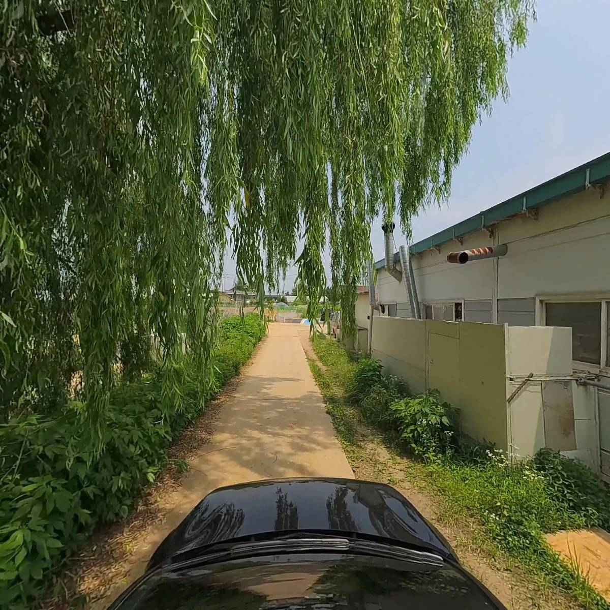 (주)보다_4