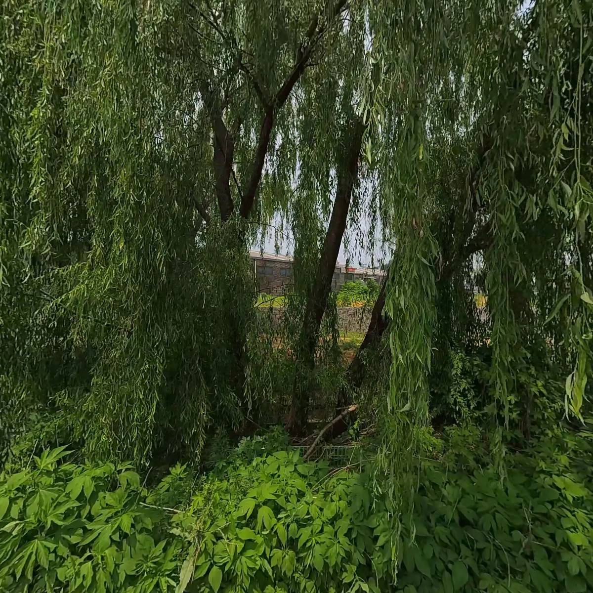 (주)보다_3