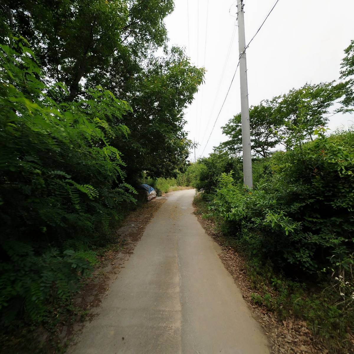 더(The)꿀템_2