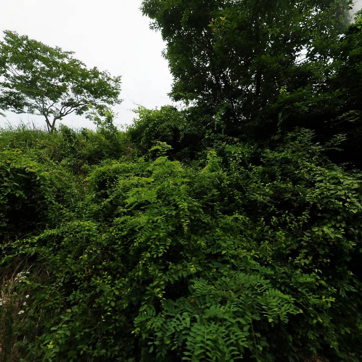 더(The)꿀템_3