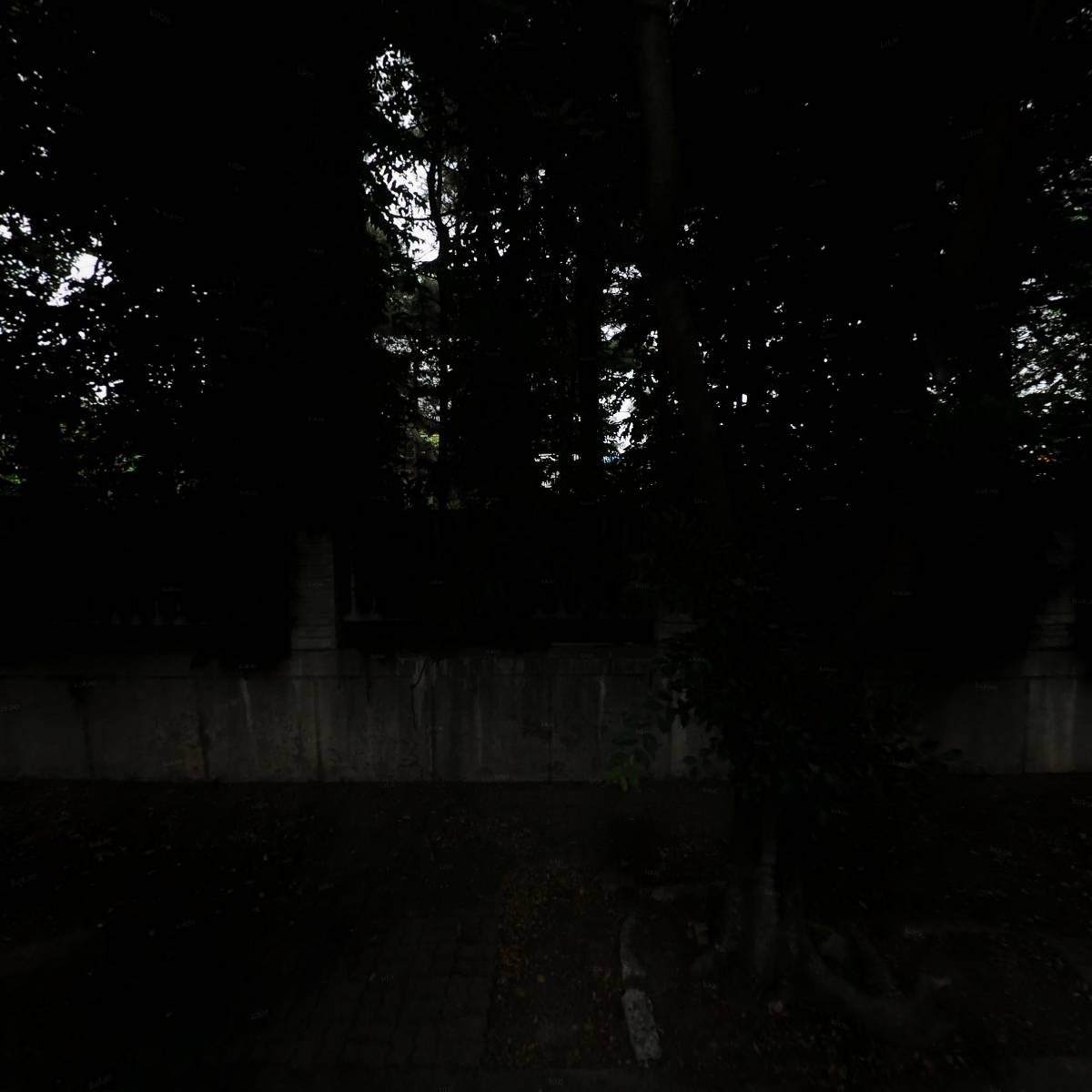 넥젠텍스