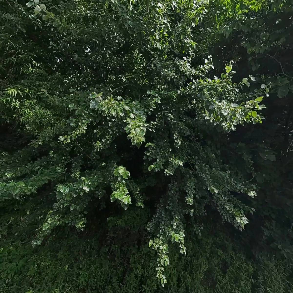 헤이로_3