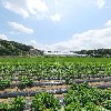 주식회사케이론키즈_3