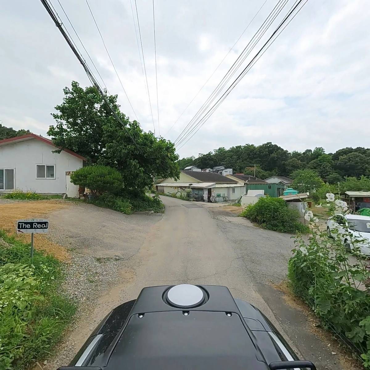 더 리얼_2