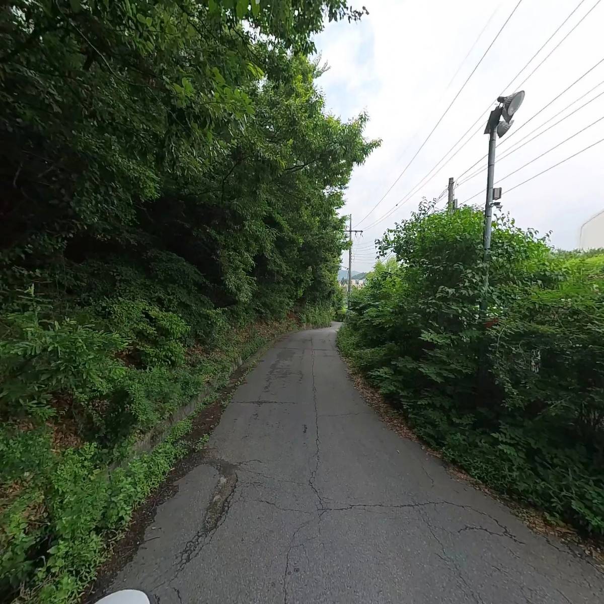 고우물산 주식회사_2