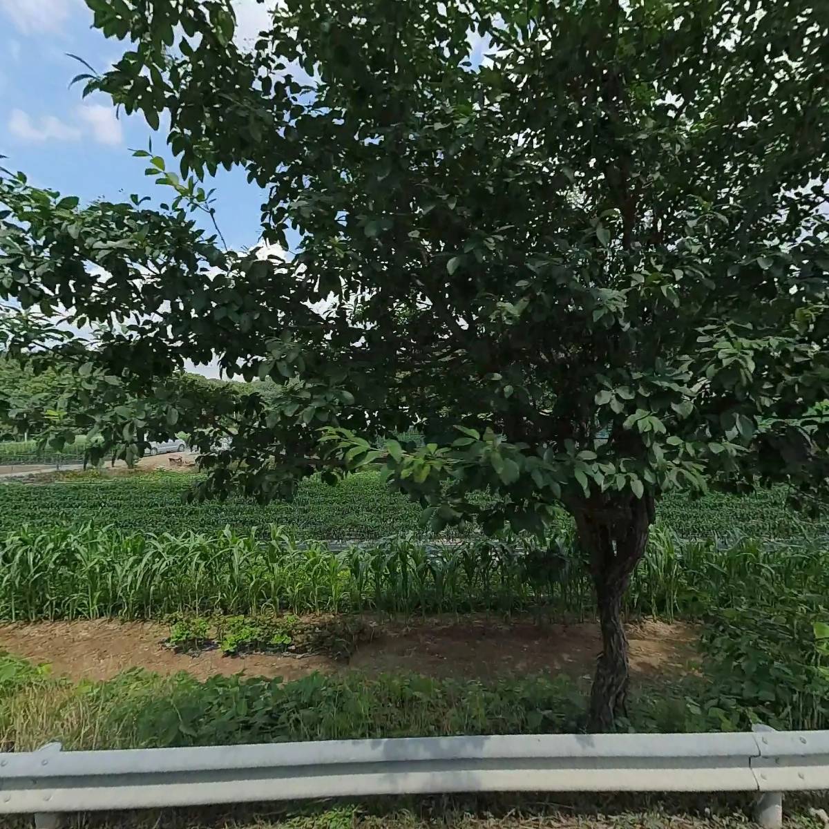 삼화수산유통