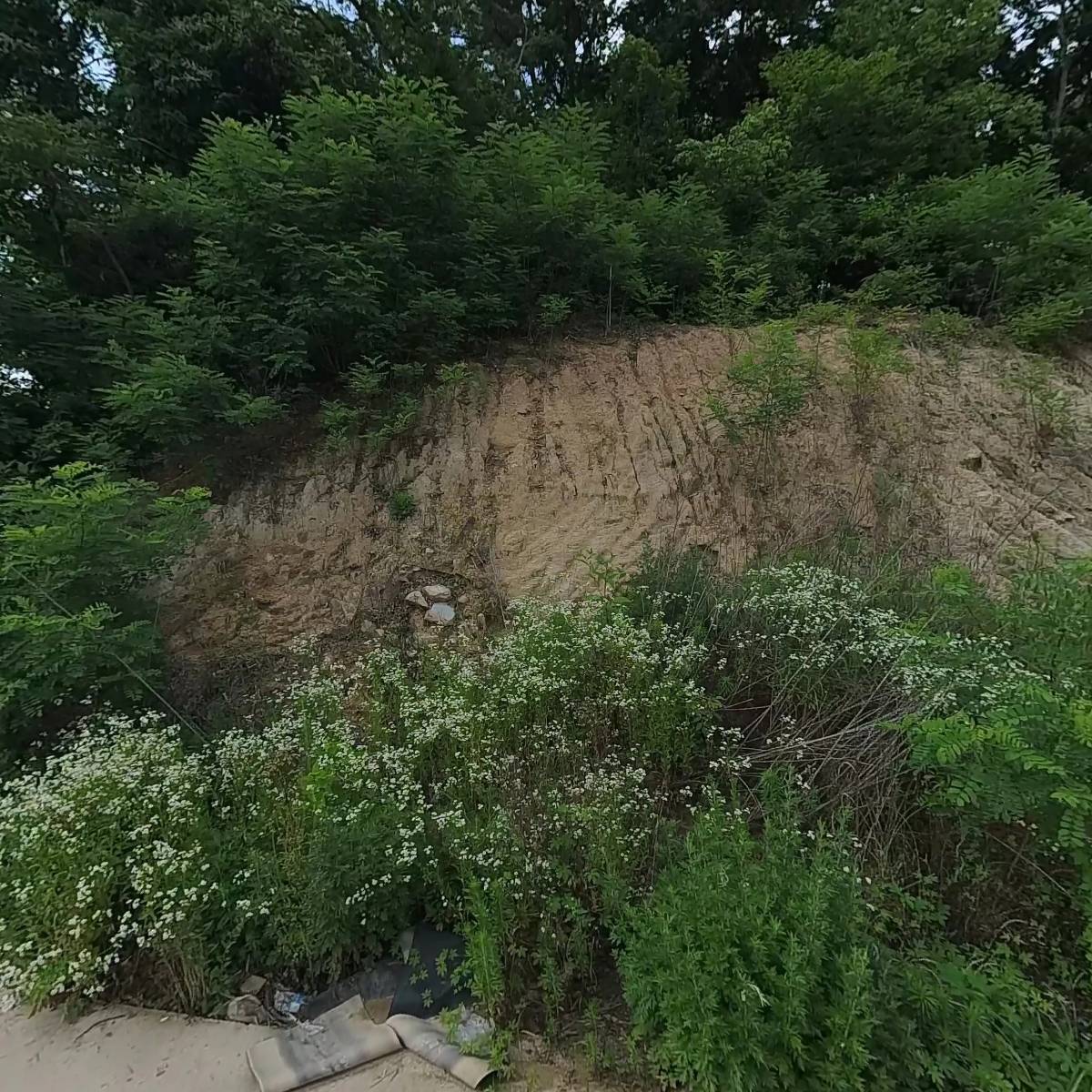 진영상사
