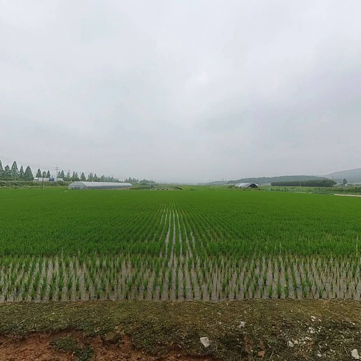 주식회사 오엠코리아_3