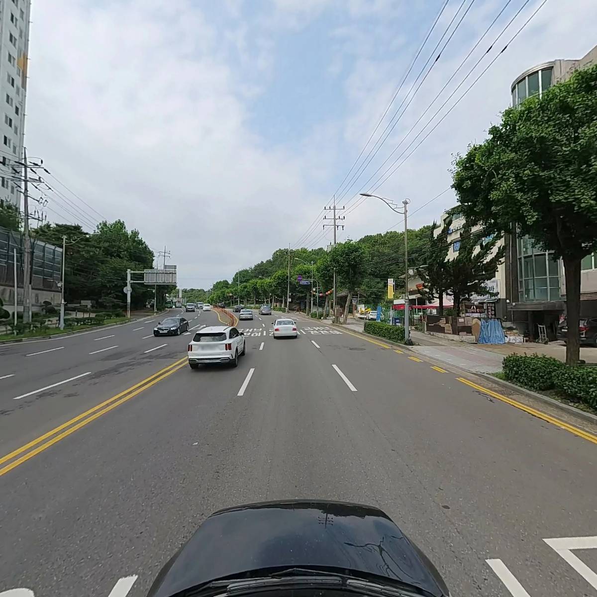 시민동물병원_4
