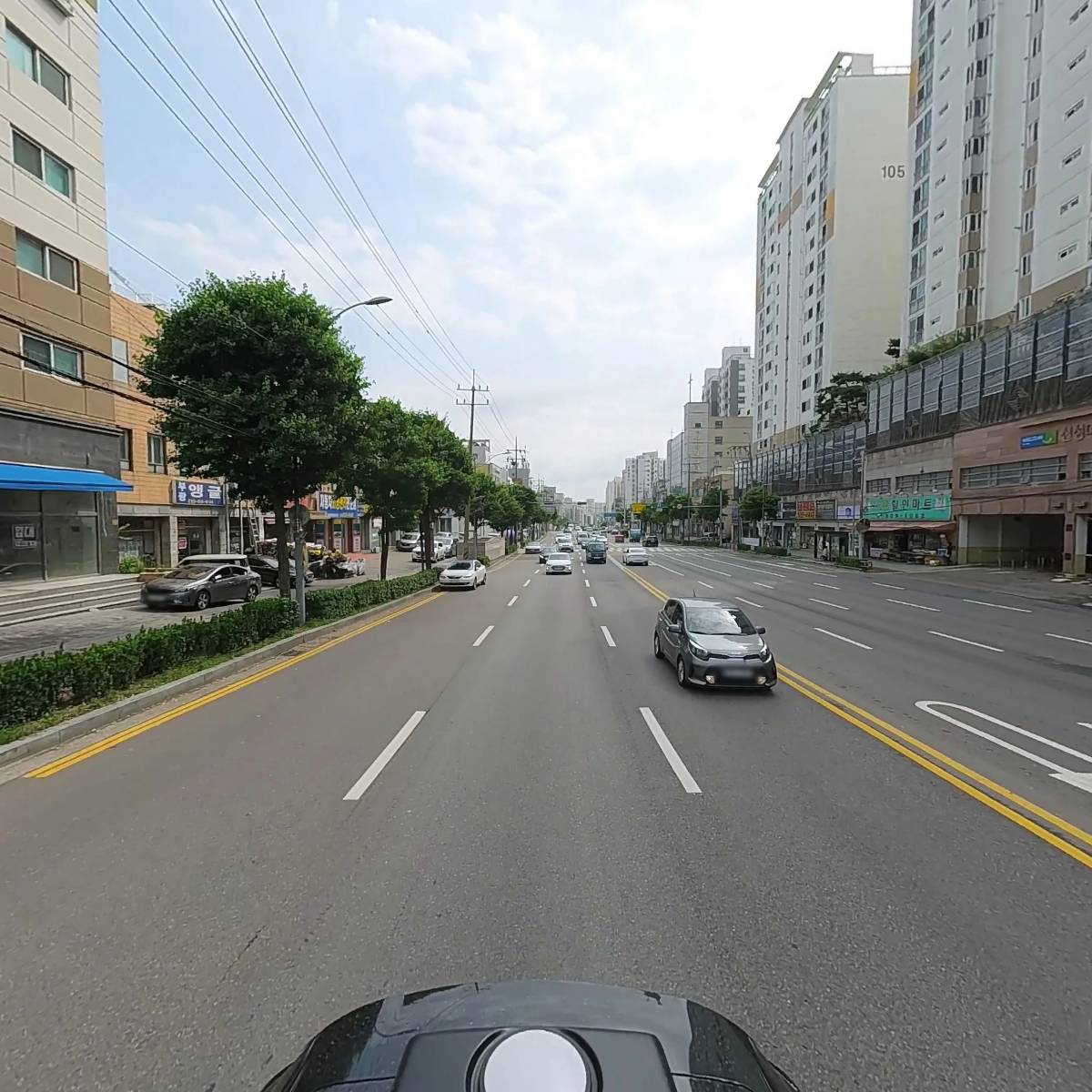 시민동물병원_2