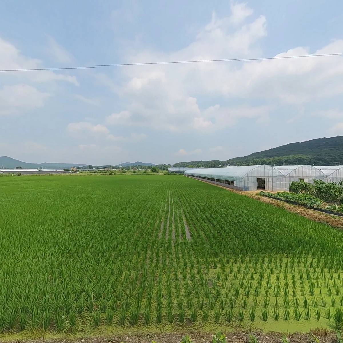 곰돌이네다육