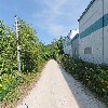 파낙산제약(주)_2