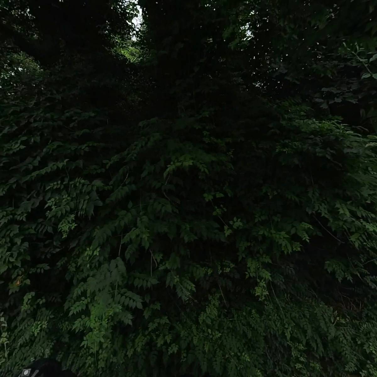 동네한바퀴