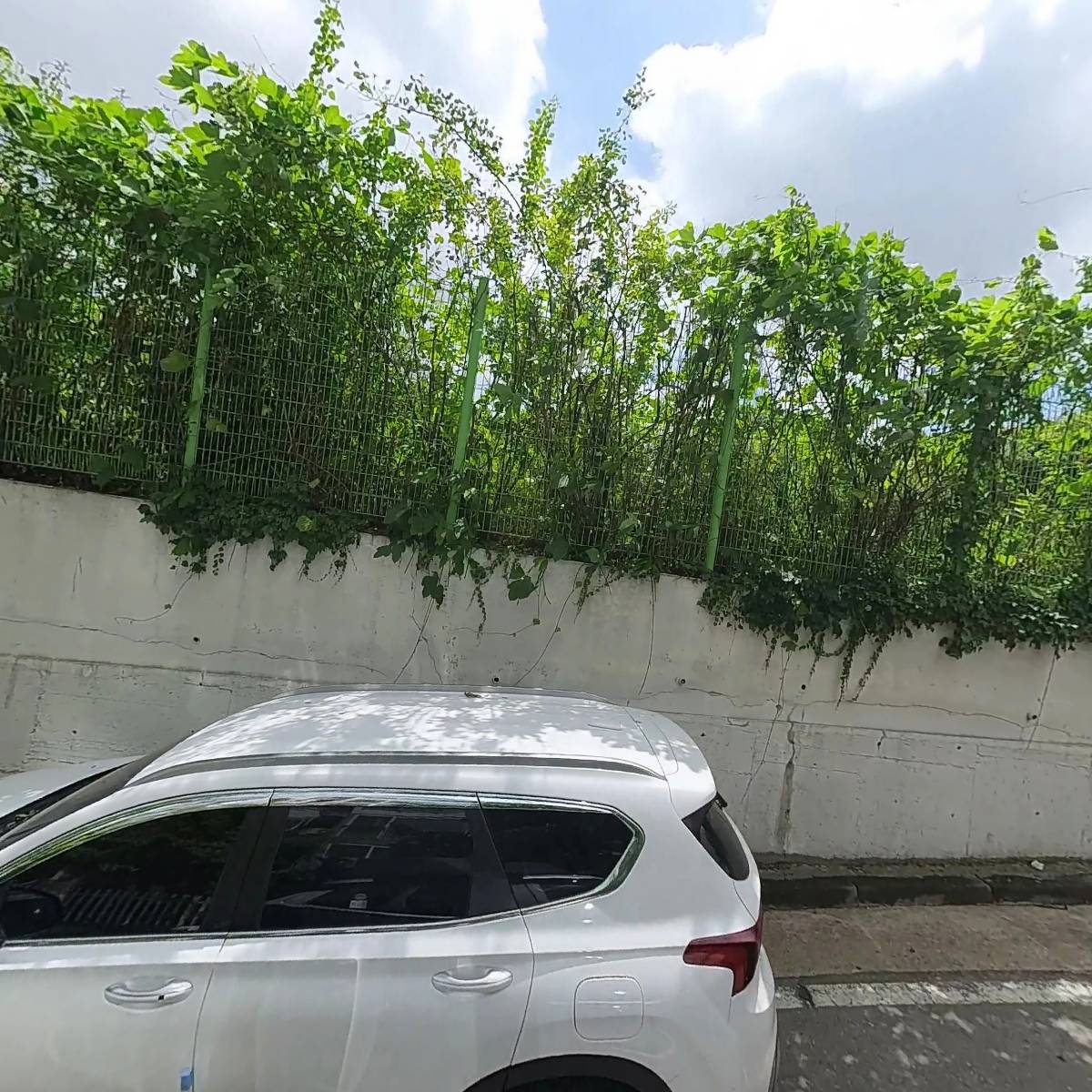 건창그린_3