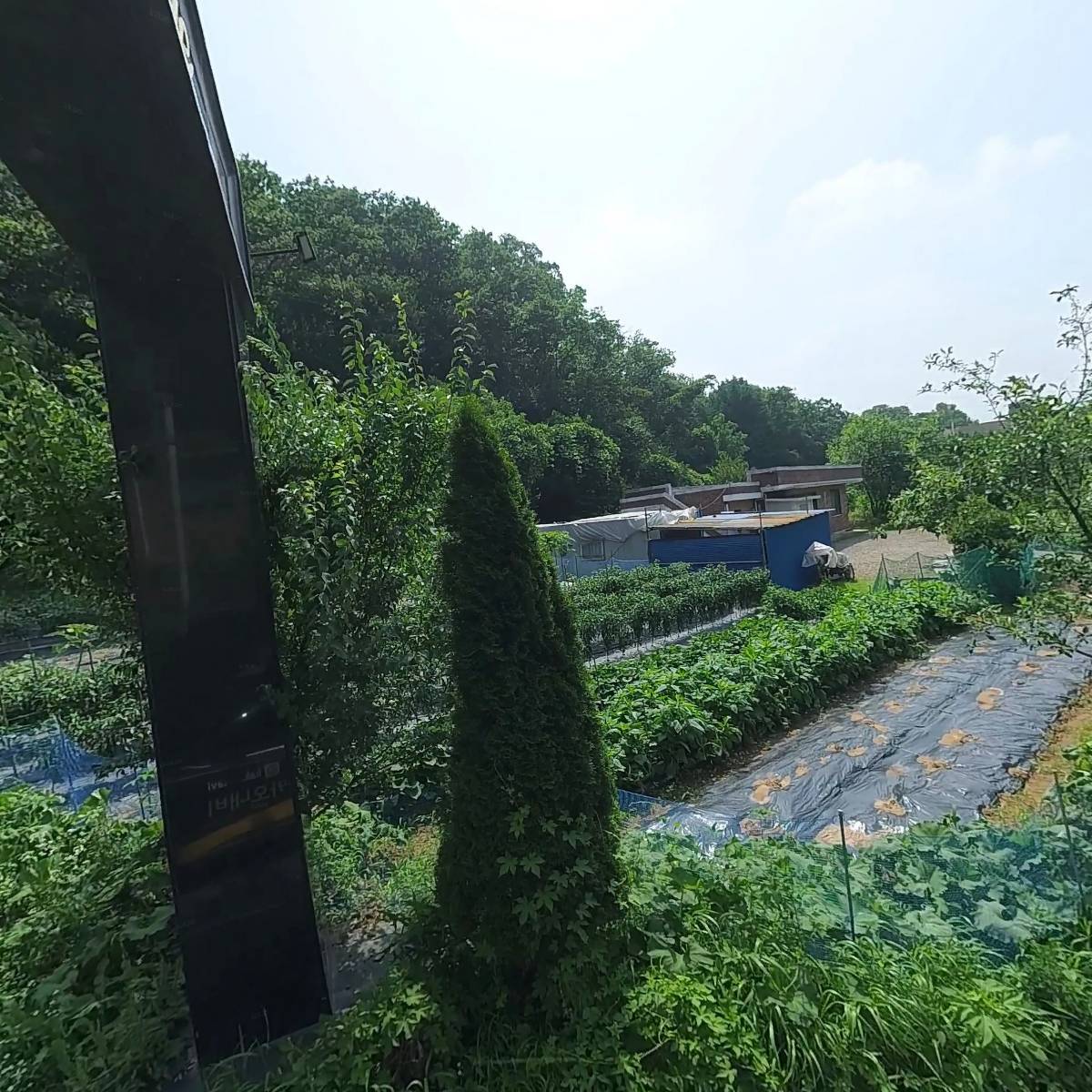 대성상회