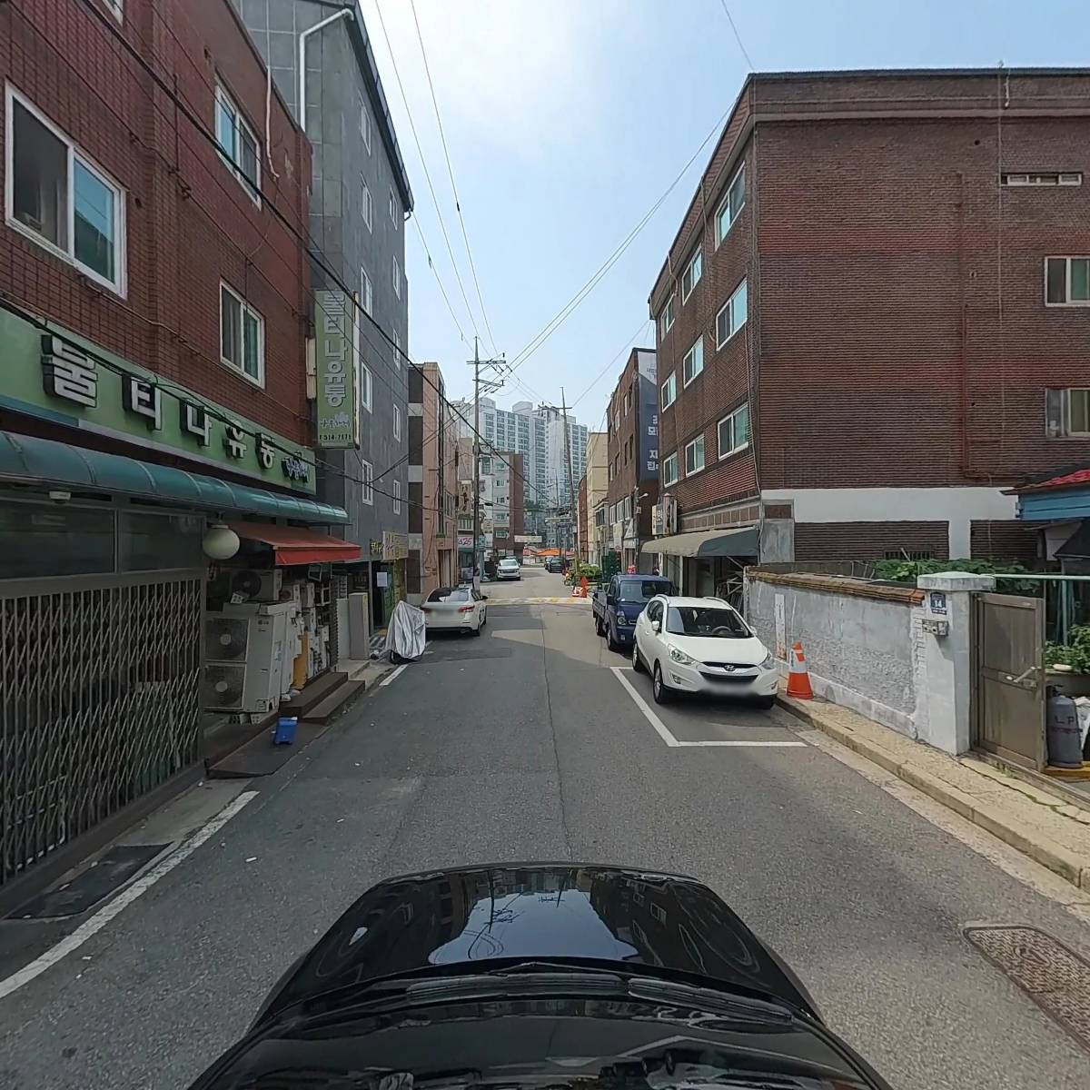 펫 트렌드 인터네셔널_4