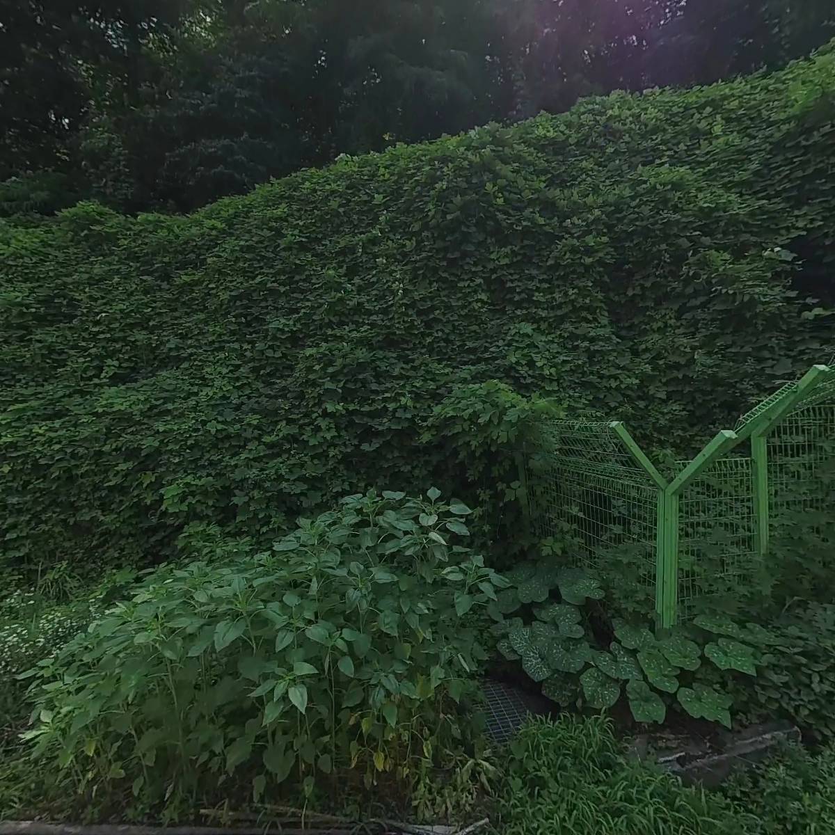 디자인레시피_3
